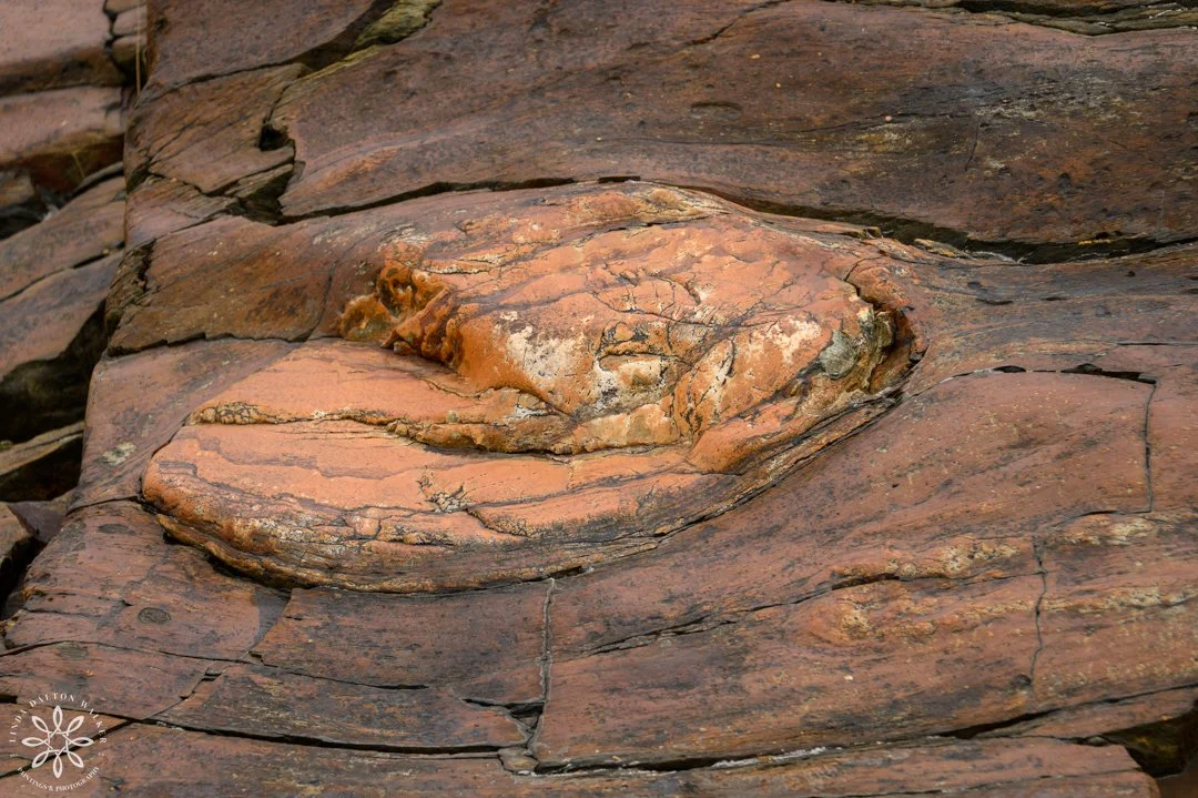 113 Fremont Island, March 14, 2026-Edit.jpg