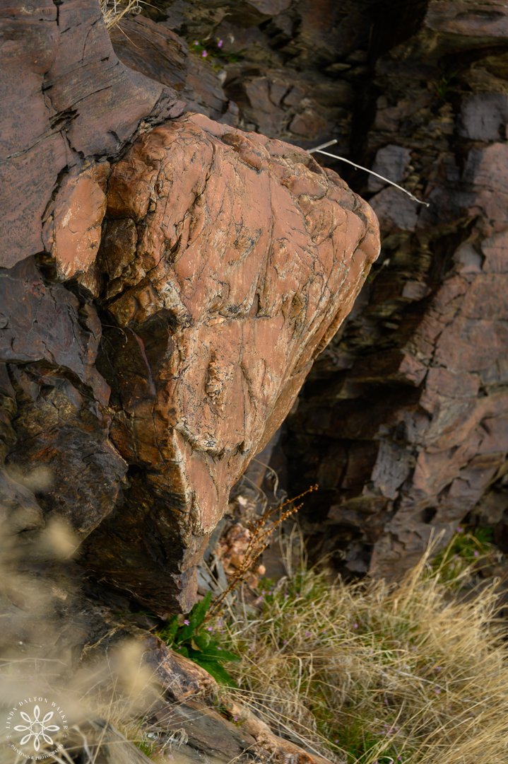 114 Fremont Island, March 14, 2026-Edit.jpg