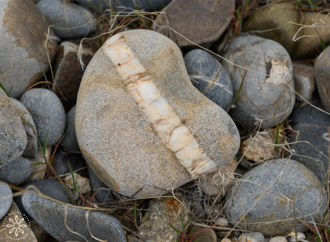 44 Fremont Island, March 14, 2026-Edit.jpg