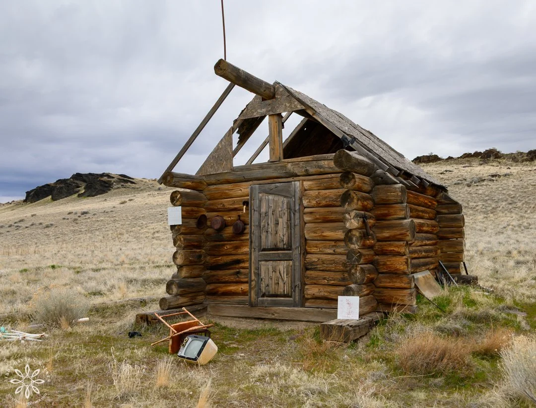 73 Fremont Island, March 14, 2026.jpg