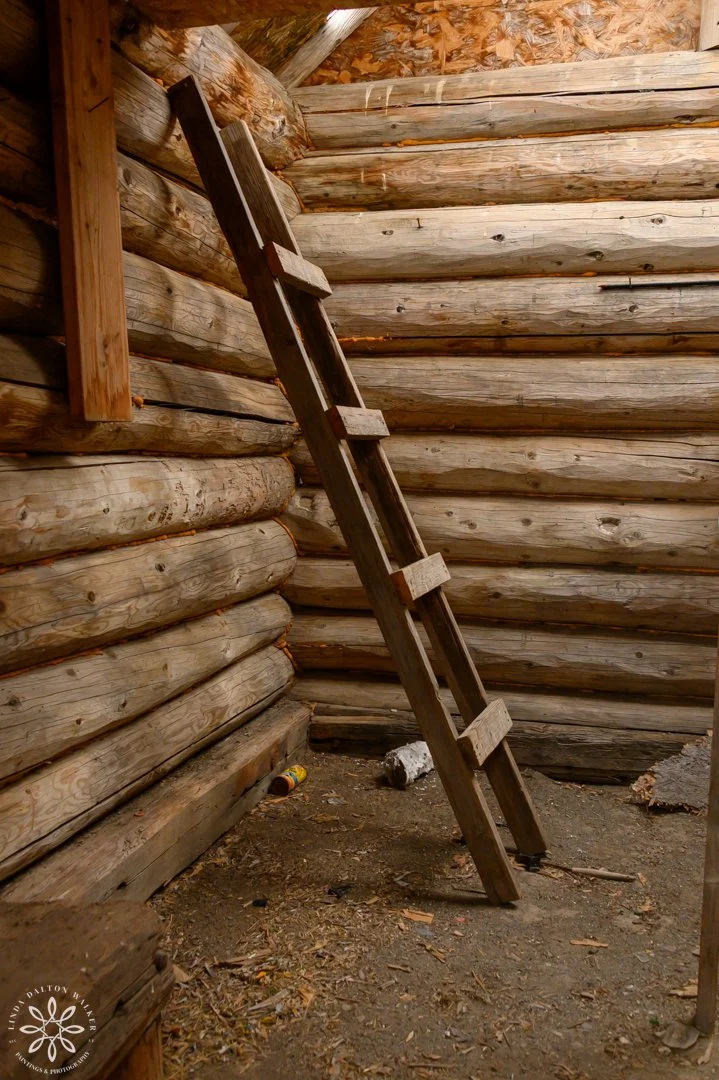 66 Fremont Island, March 14, 2026.jpg