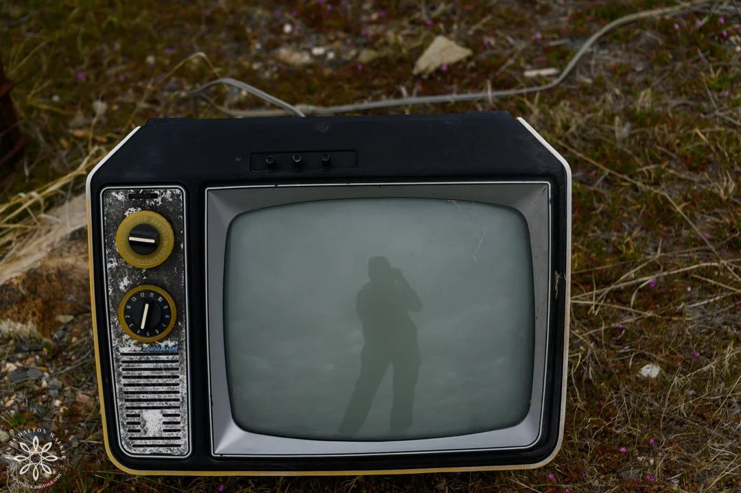 59 Fremont Island, March 14, 2026.jpg