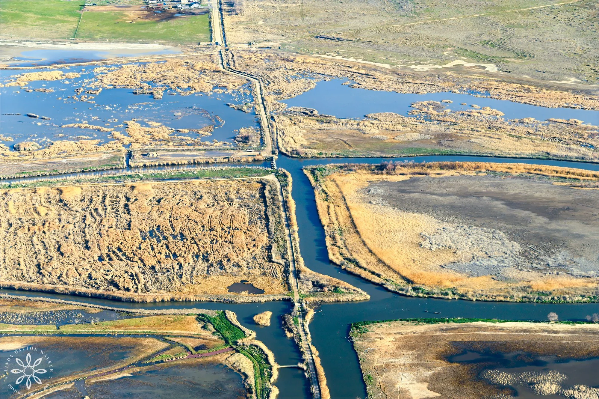 66 Mulchers tracks, Eco Flight over Great Salt Lake, March 17, 2026, Linda Dalton Walker.jpg