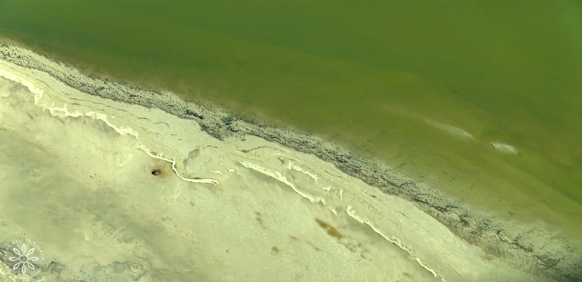 102 Fragile ecosystem, Eco Flight over Great Salt Lake, March 17, 2026, Linda Dalton Walker.jpg