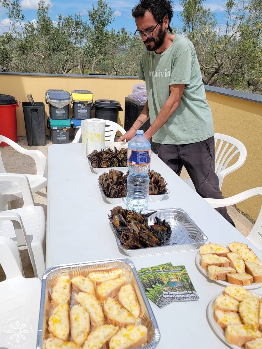 Lunch is served