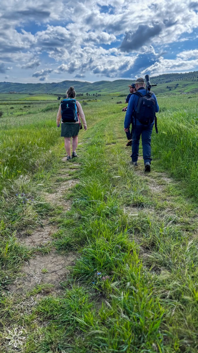 Walking through Geloi Wetland