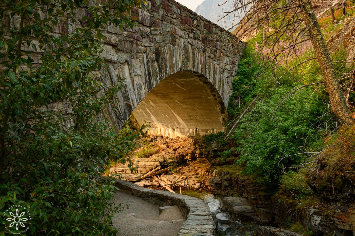 Tunnel over a river, Fine art print, Glacier National Park