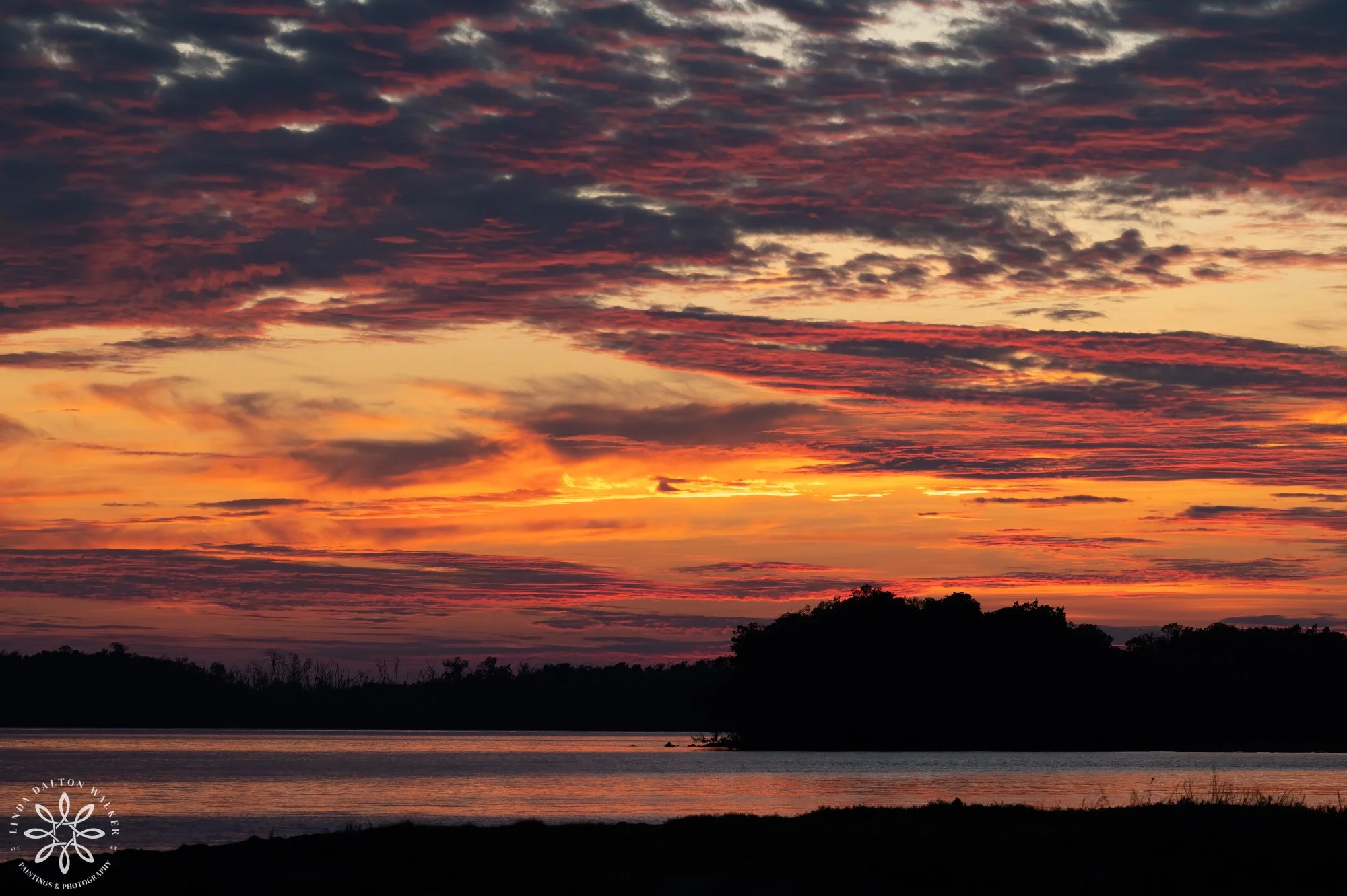 Linda-Dalton-Walker_Everglades-sunset II.jpg
