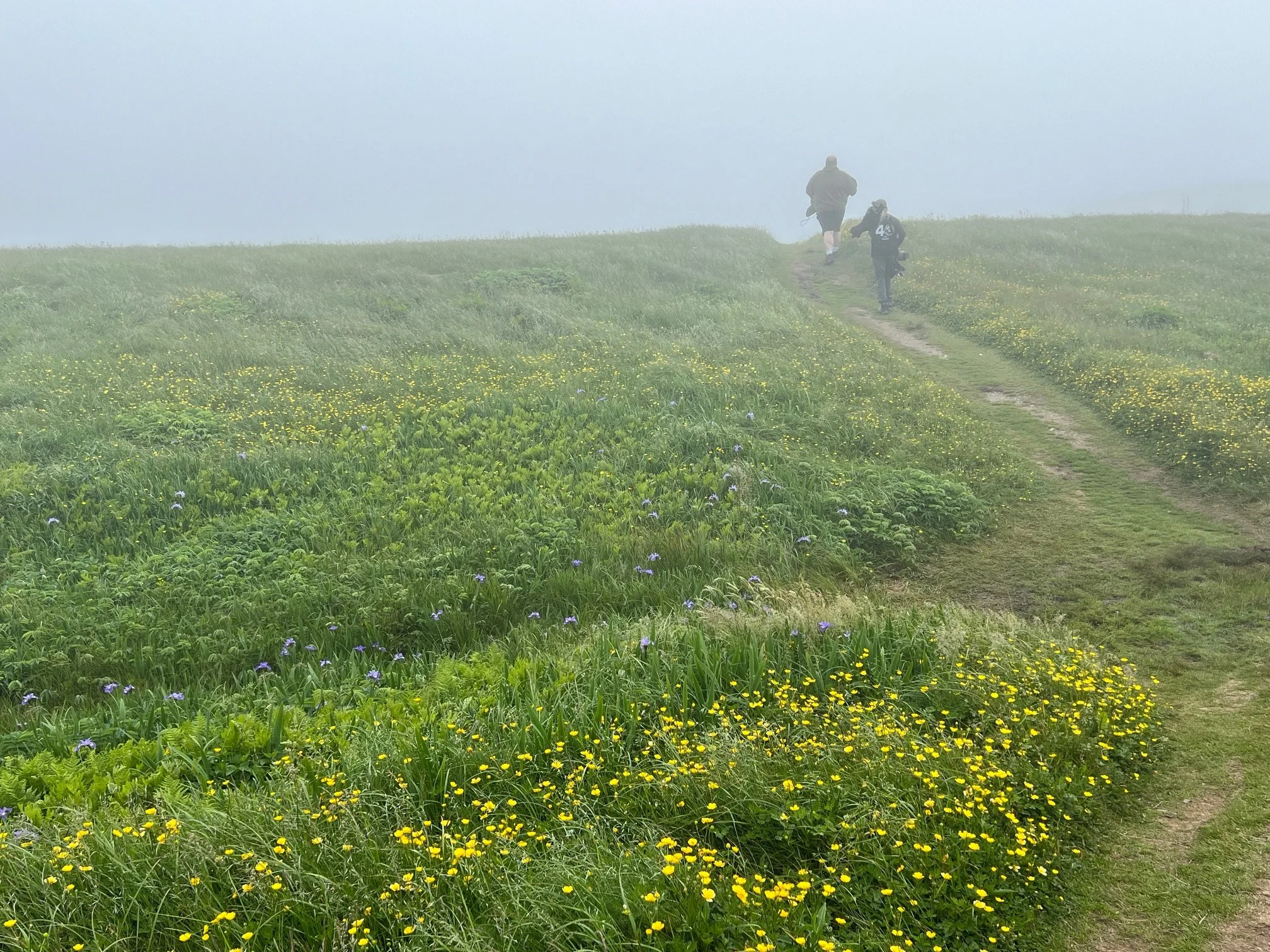 Wildlife photographer Linda Dalton Walker hiking through dense coastal fog toward Cape St. Mary's Northern Gannet colony Newfoundland Canada