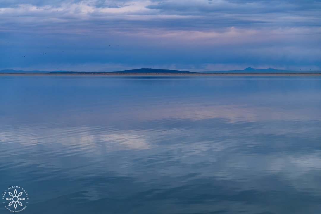 View of Great Salt Lake, island in distance