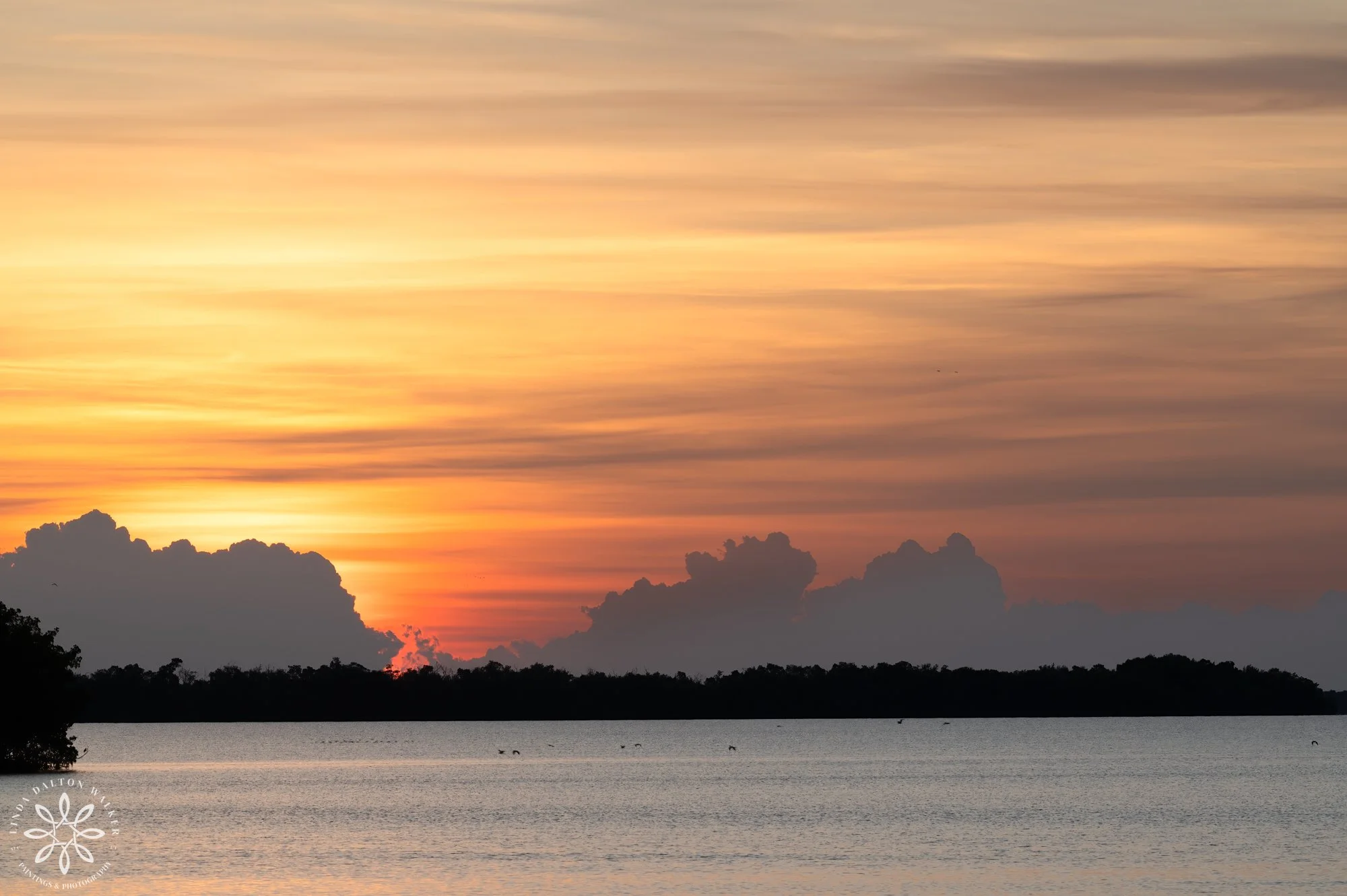 Everglades National Park, Golden Sunset