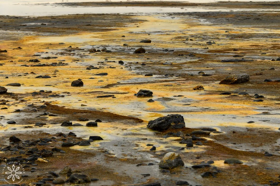 Textured shore of great salt lake