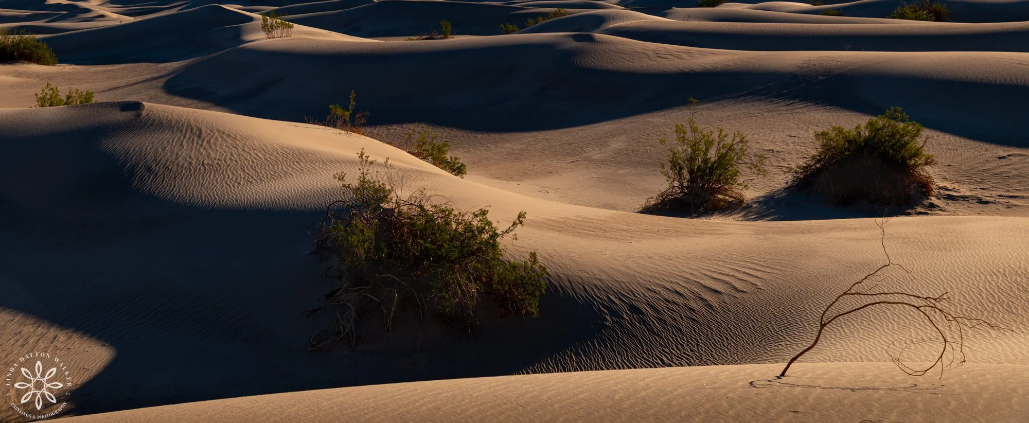 220Death Valley, Nov 2022.jpg