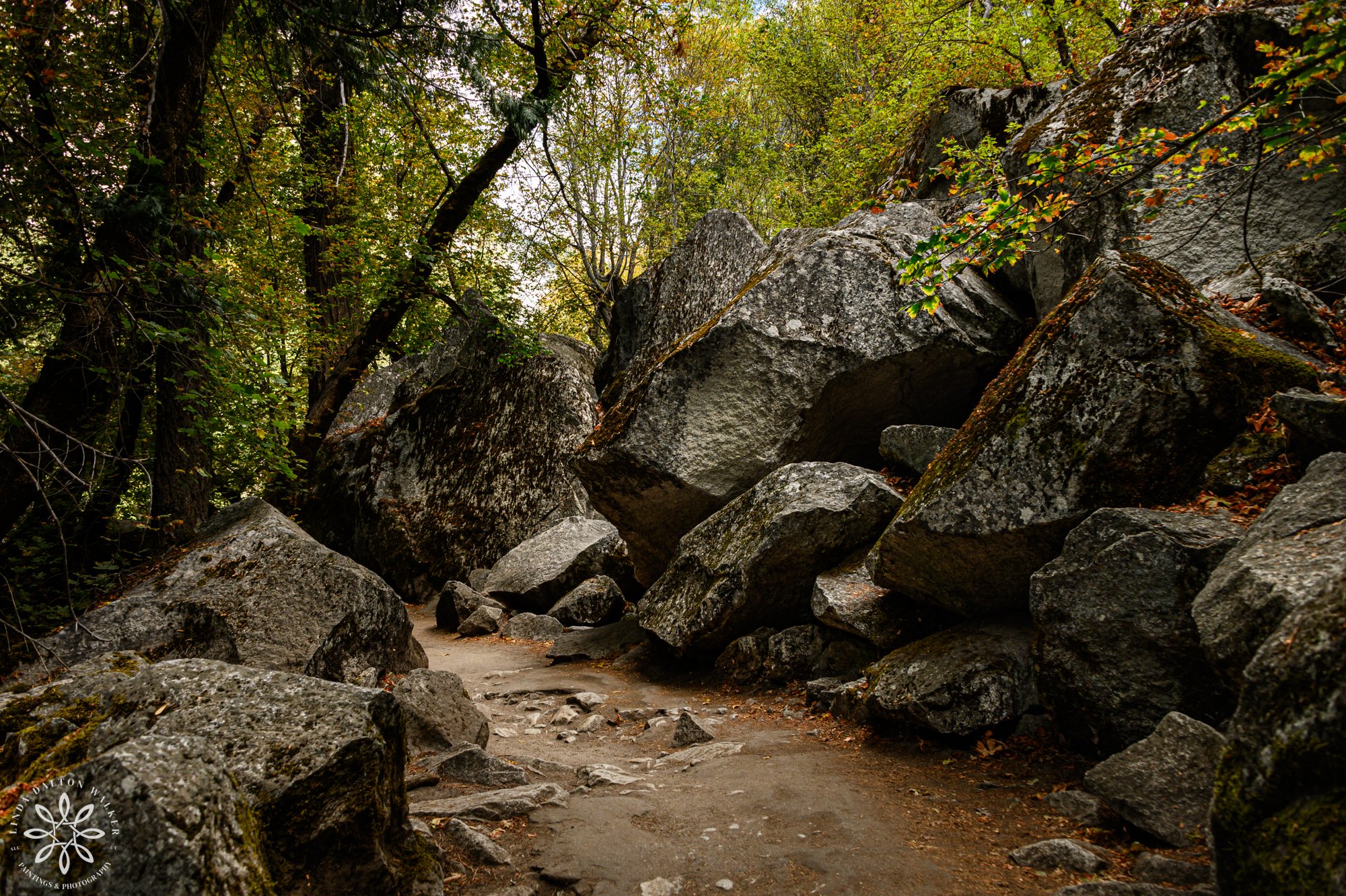 Dirt hiking trail flanked by large mossy granite boulders and autumn trees leading toward Mirror Lake in Yosemite.