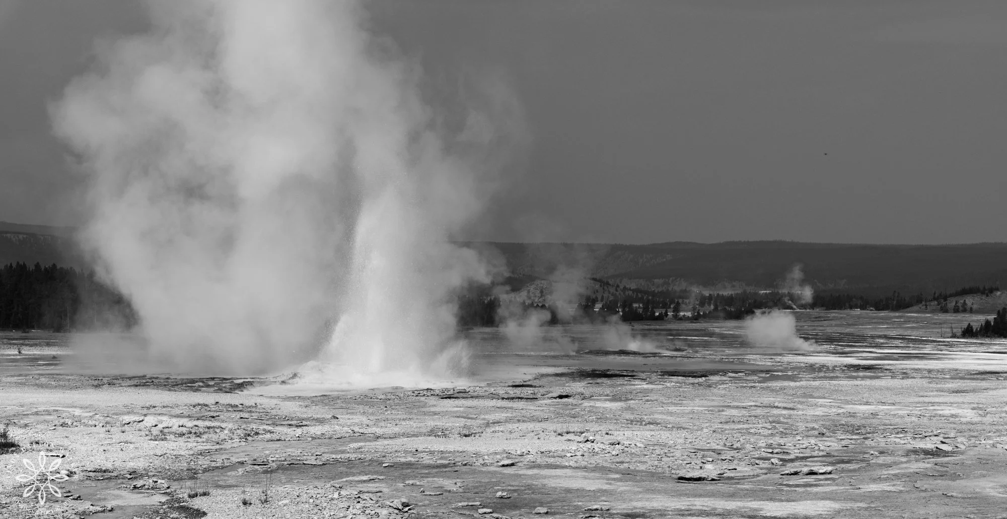 Yellowstone National Park, Geyser Monochrome