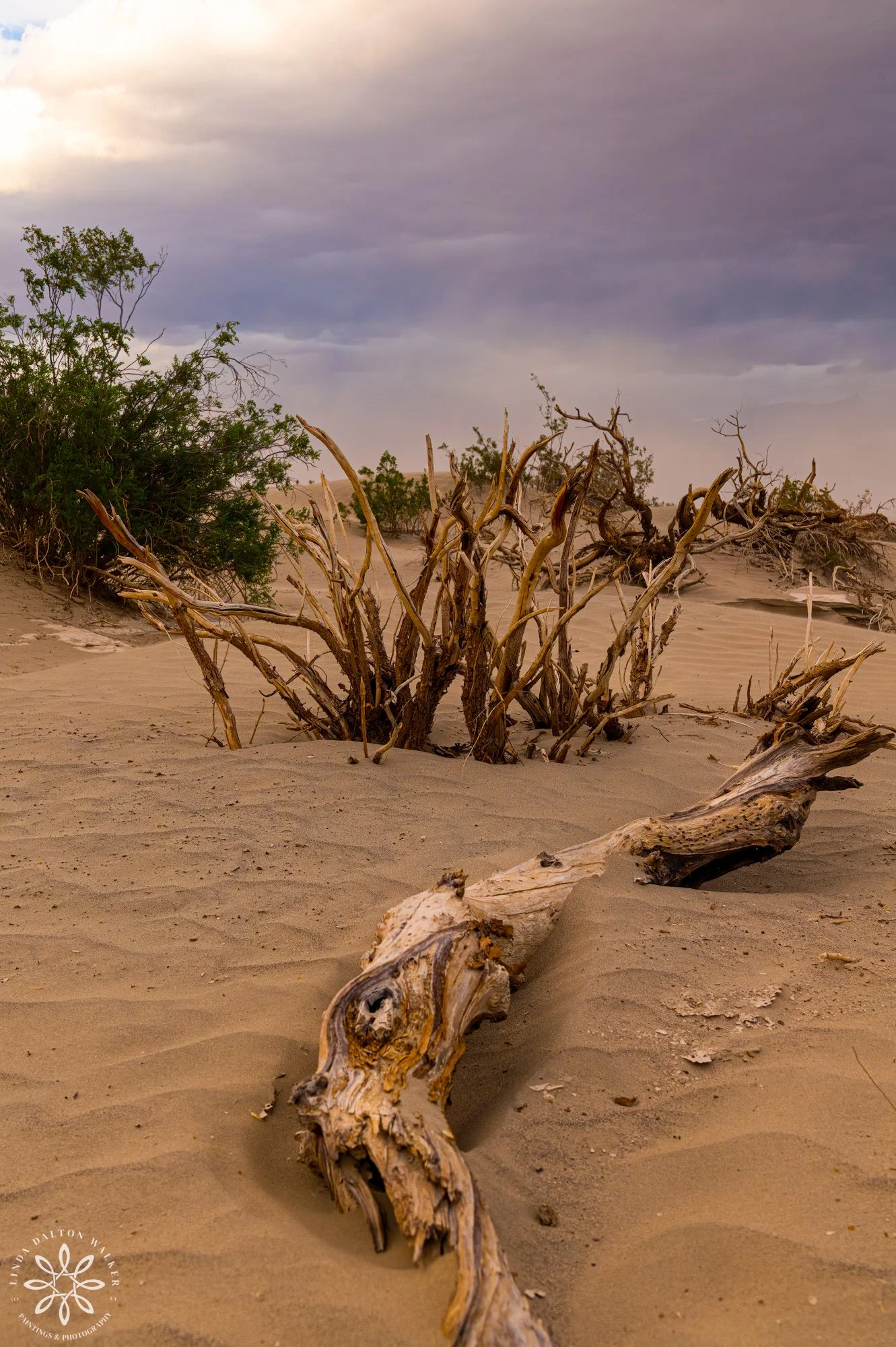 36Death Valley, Nov 2022-Edit-Edit.jpg
