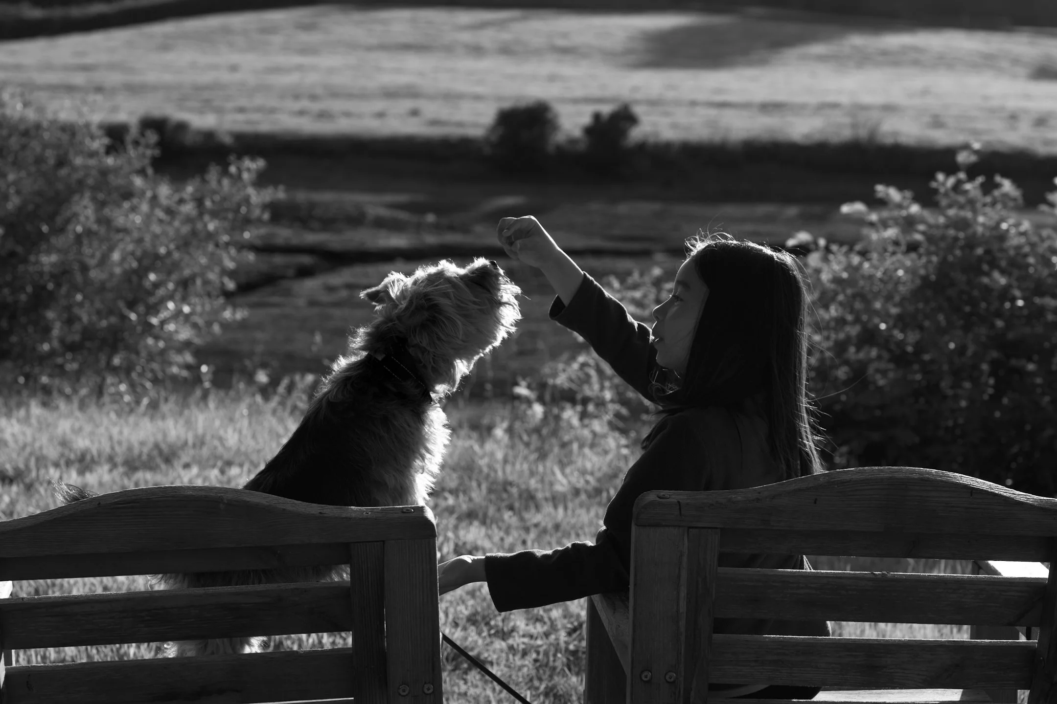 Sofia and teddy feeding.jpg