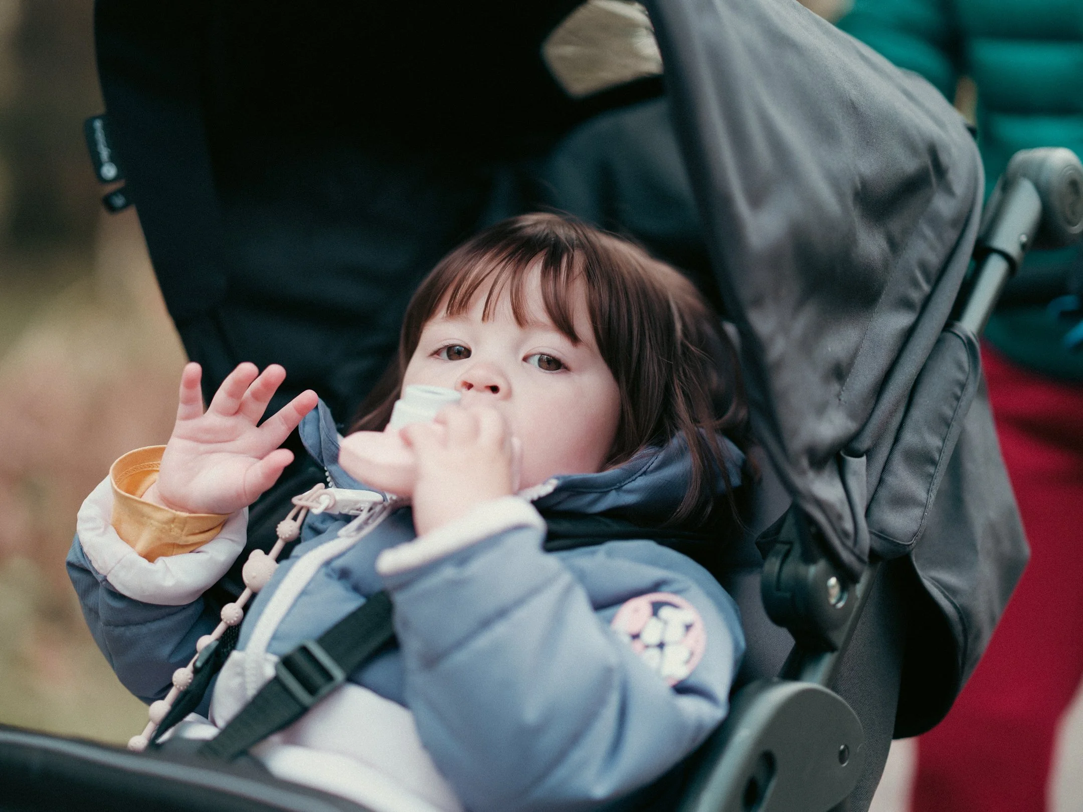 Izzy in pram.jpg