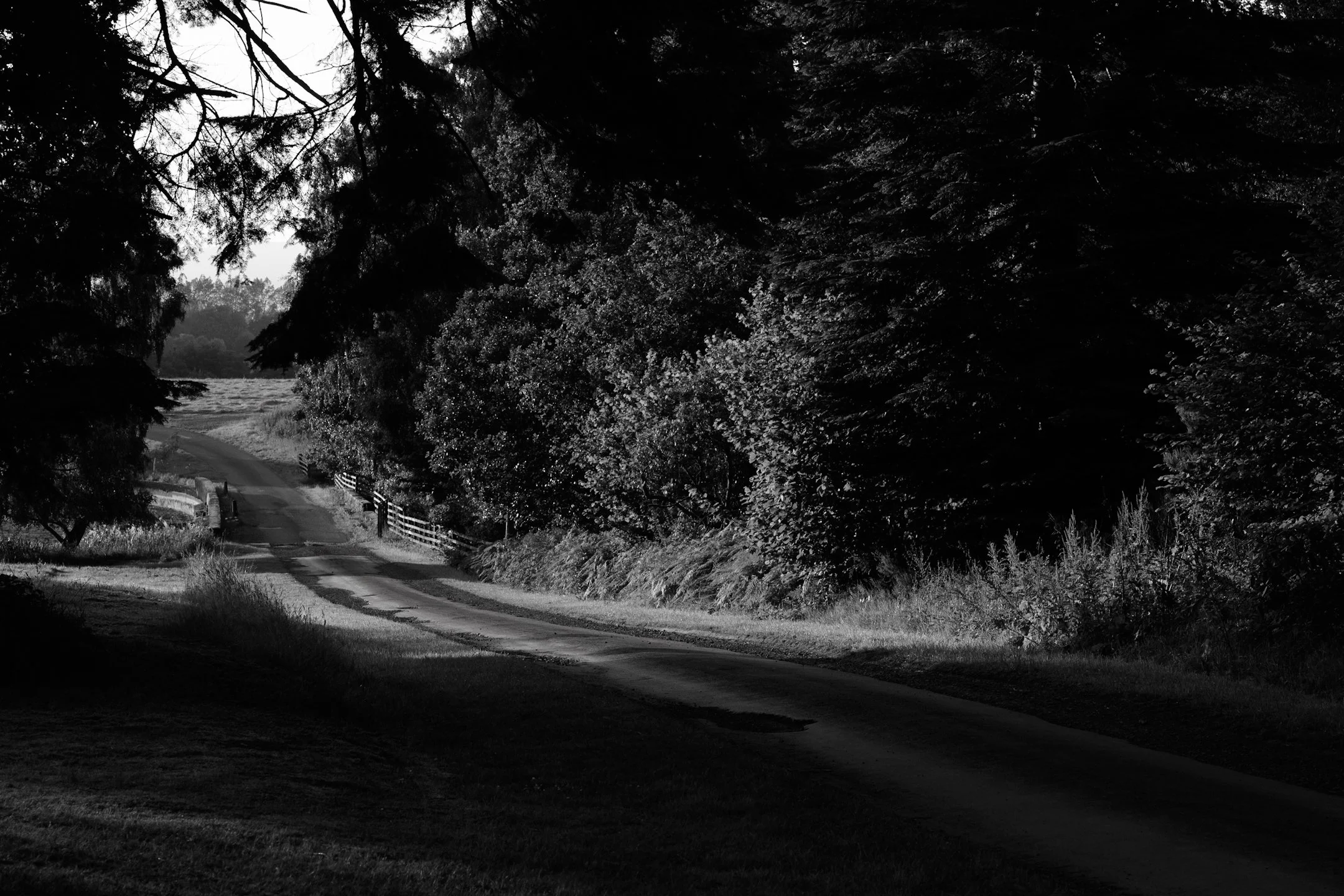 A black and white image of the road leading to Strathallan Castle in Auchterarder, Scotland.