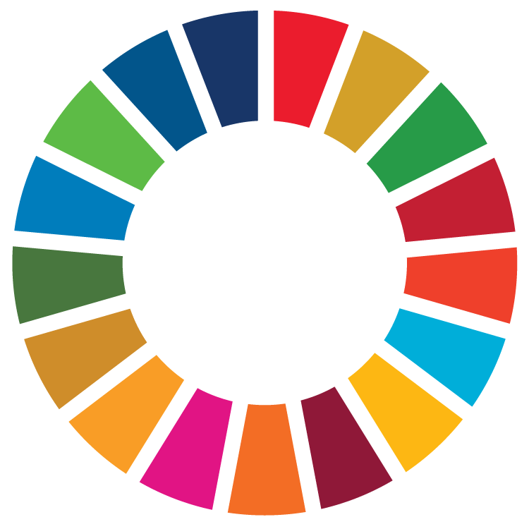 SDG Wheel_Transparent_WEB.png