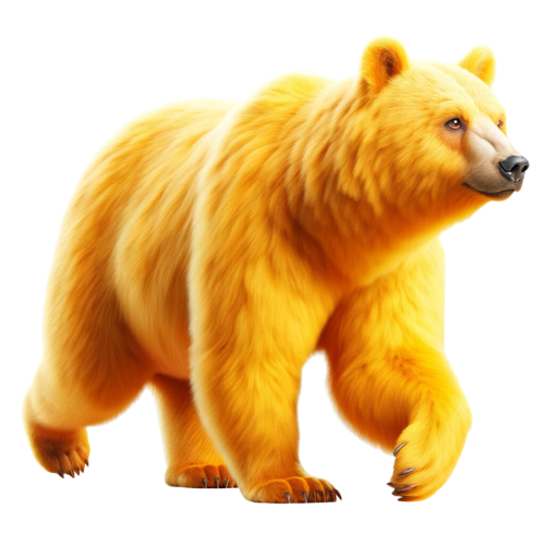 Yellow Bear Education