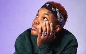 ‘Collapsed in  Sunbeams’ - Arlo Parks