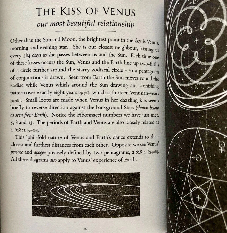 kiss of venus.jpeg