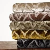 doge-velvet-hd-antoine-d-albiousse-editions-recadre.jpg