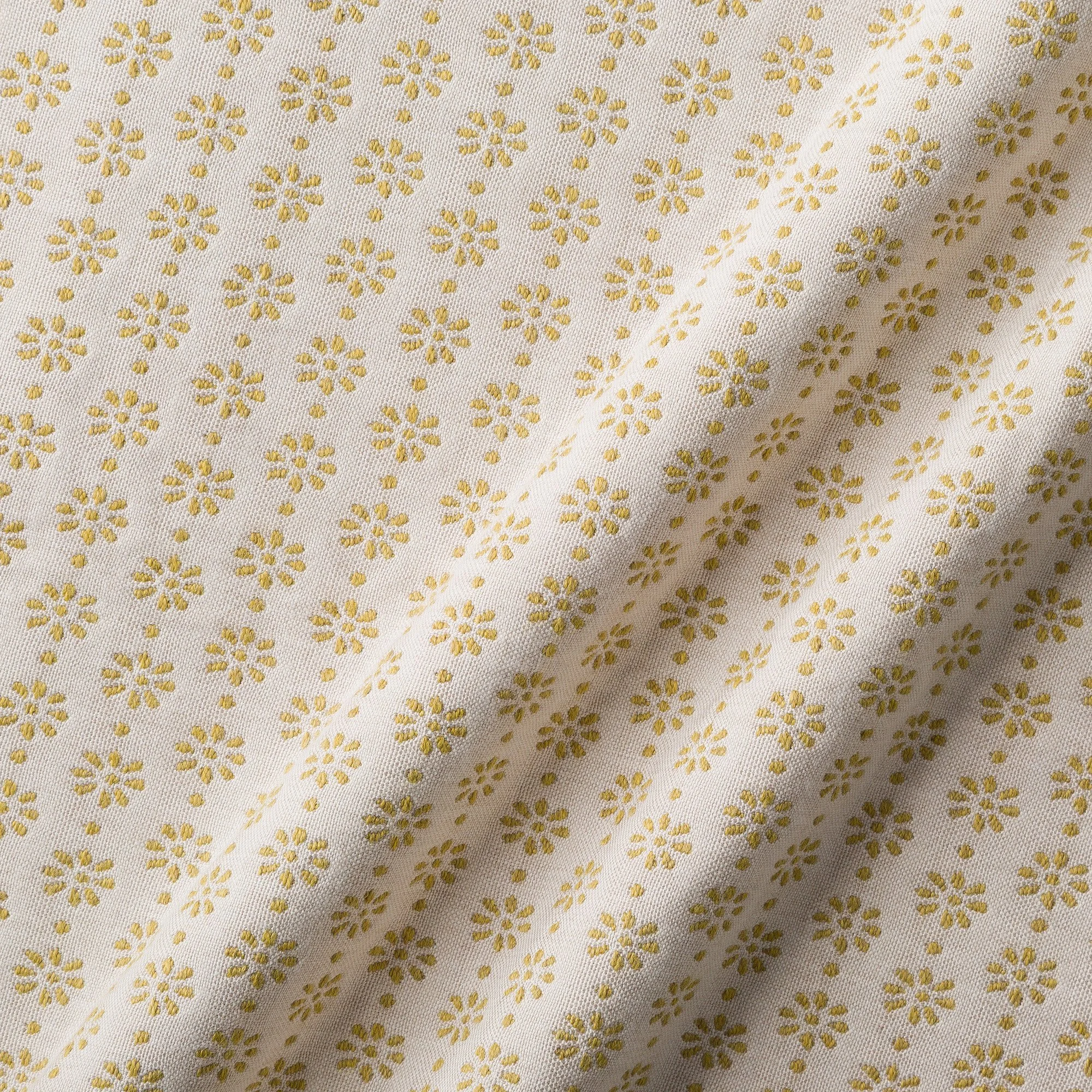 floris-maize.jpg