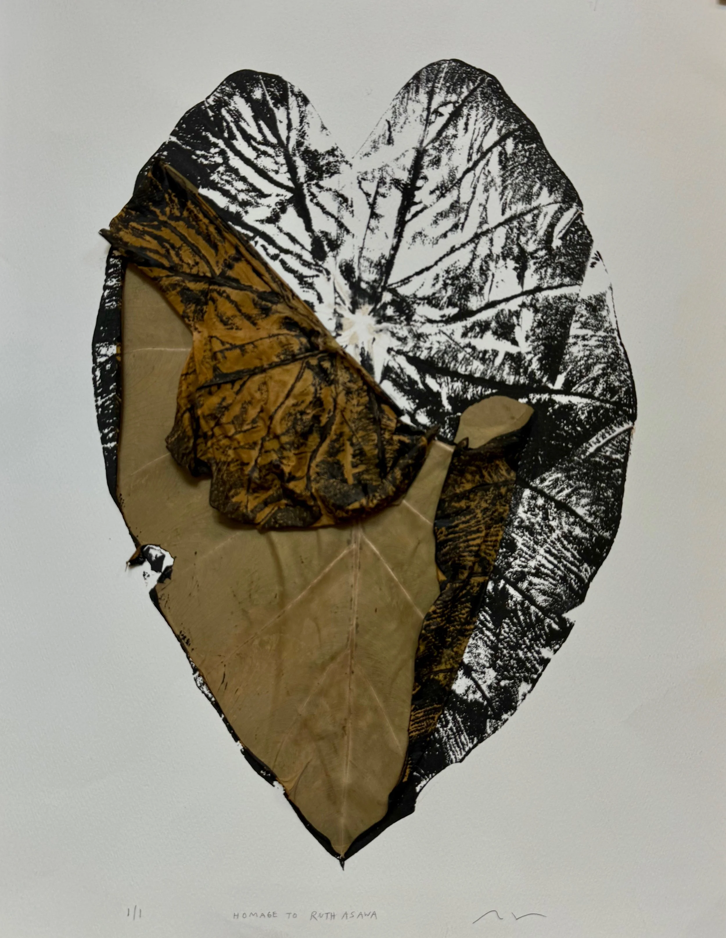 Homage to Ruth Asawa