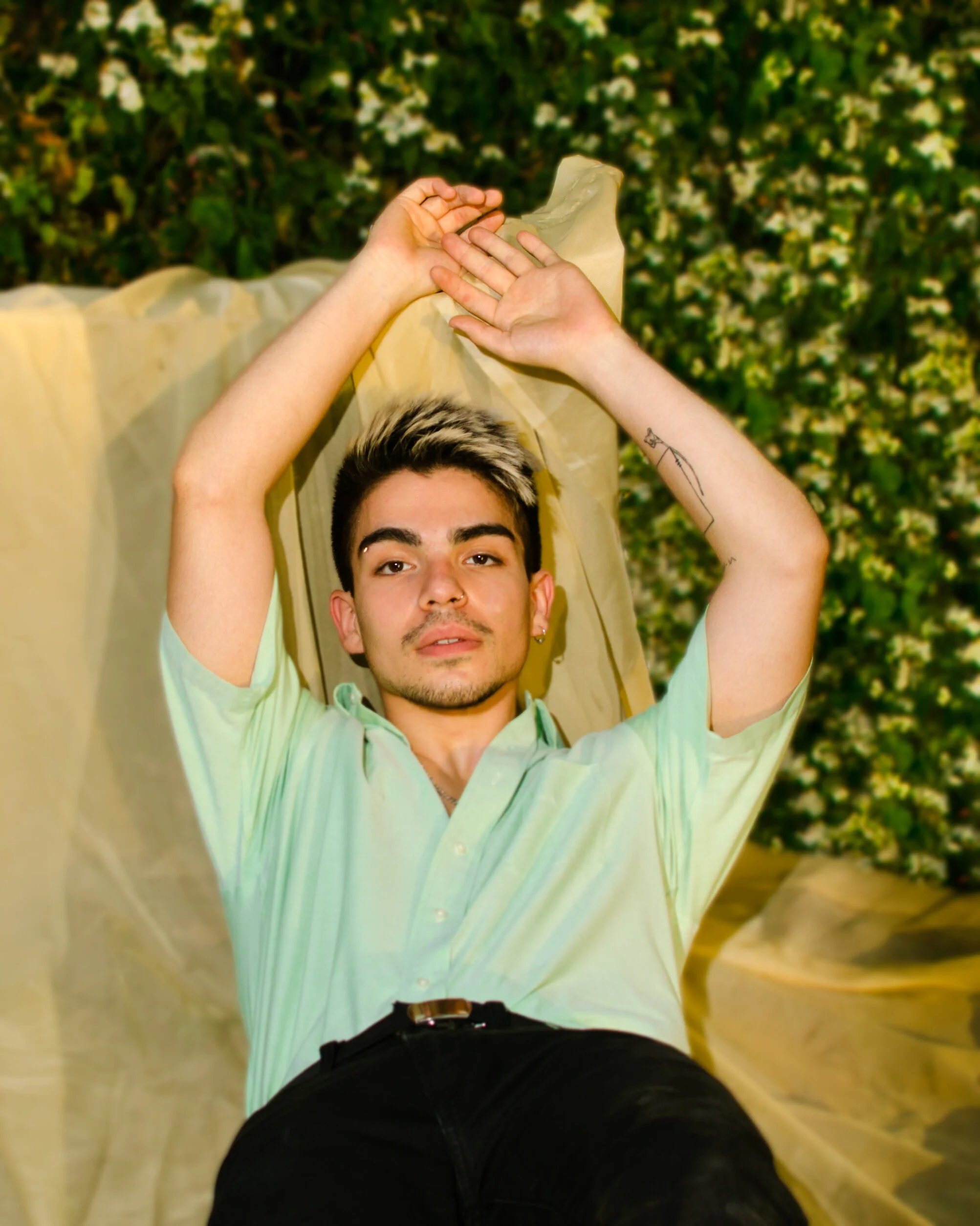 Carlos // 2019