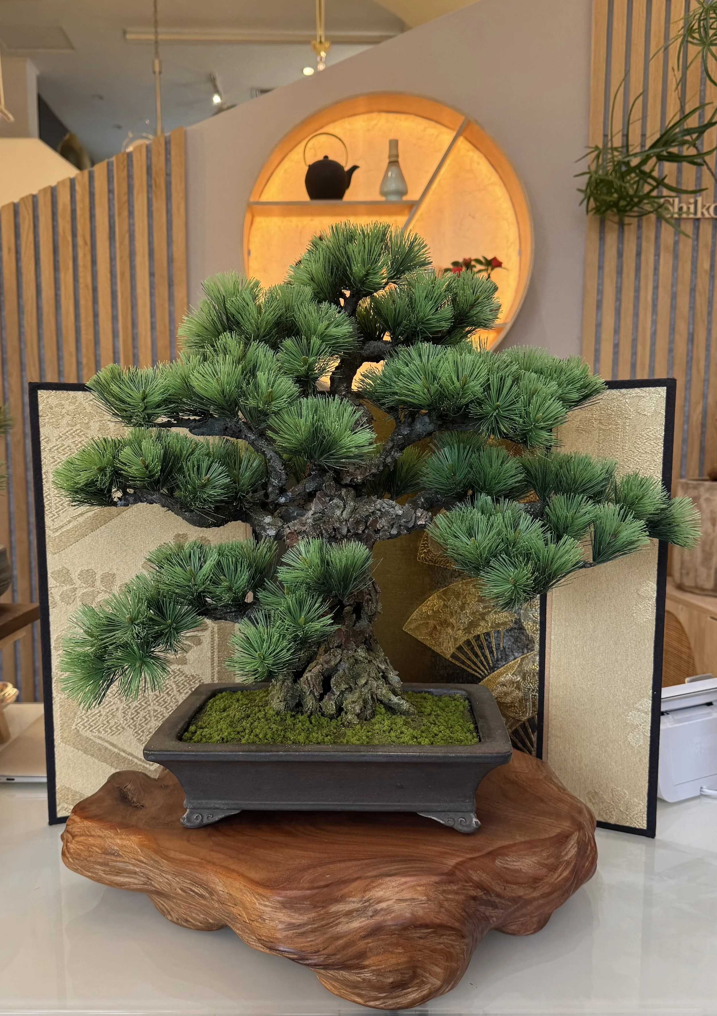 A bonsai tree in a rectangular pot displayed on a wooden stand with a decorative folding screen behind it.