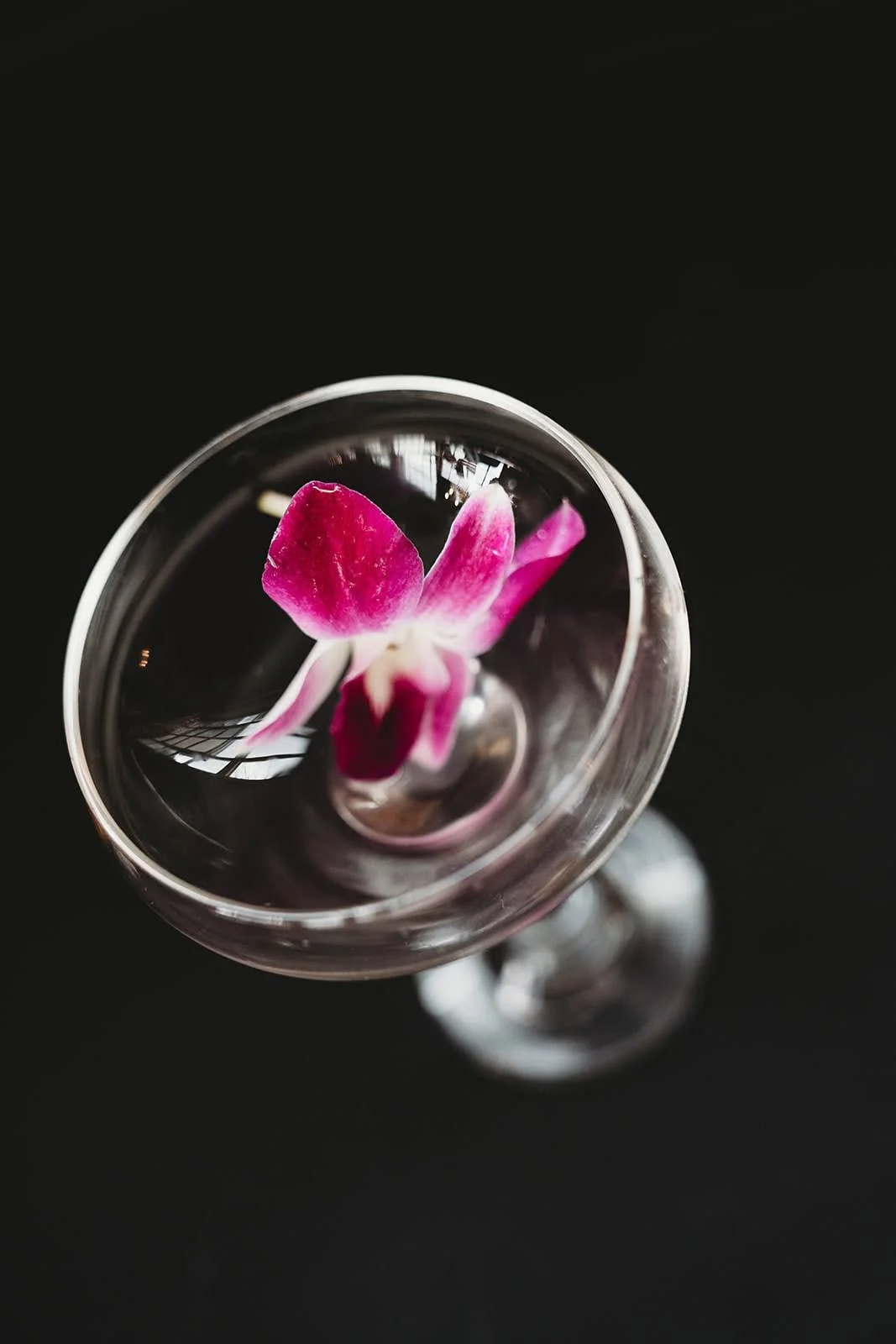 Alex & Cody -01260.jpg