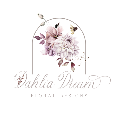 Dahlia Dream 