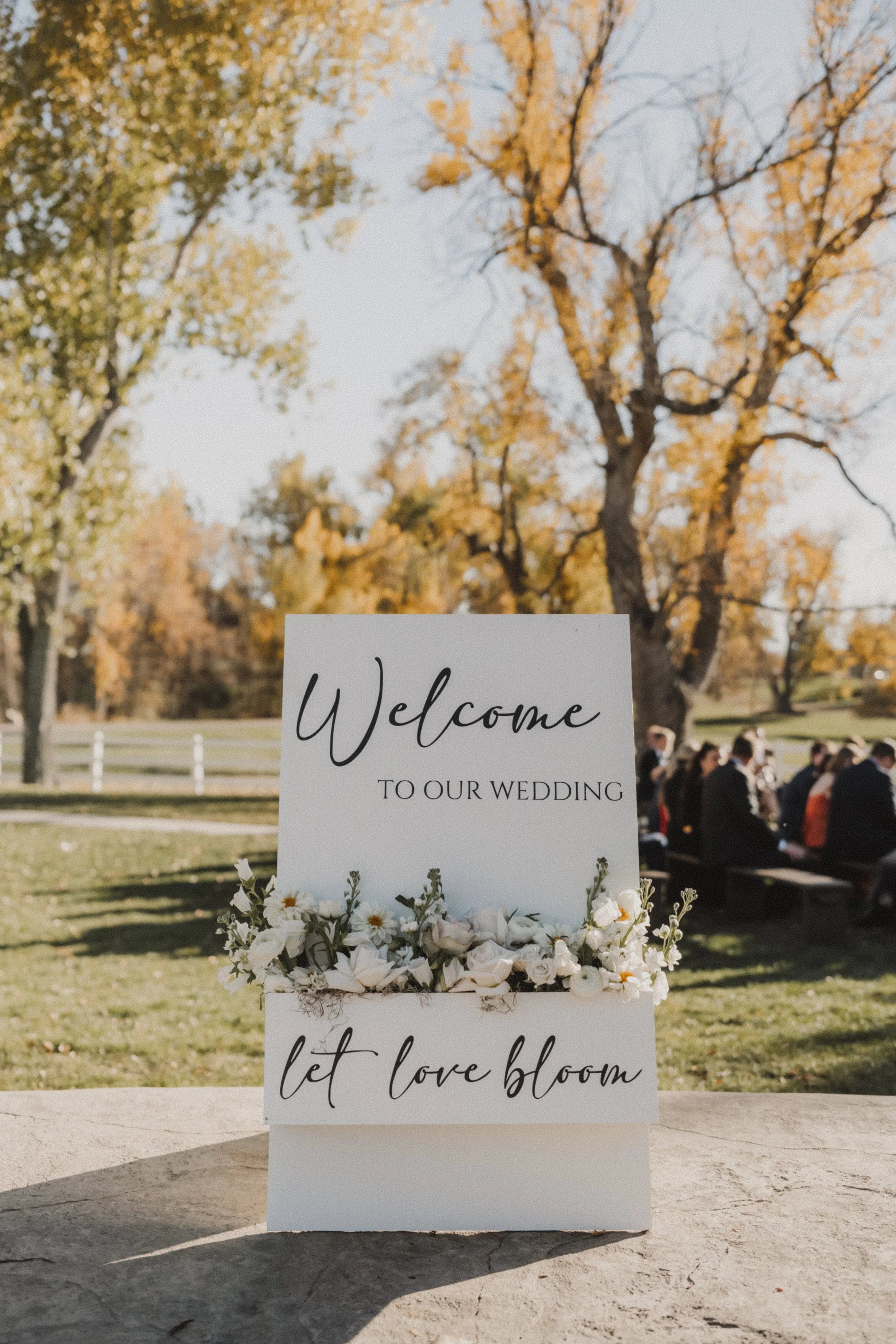 2024-10-26 - Carly & Sean Wedding-114.jpg