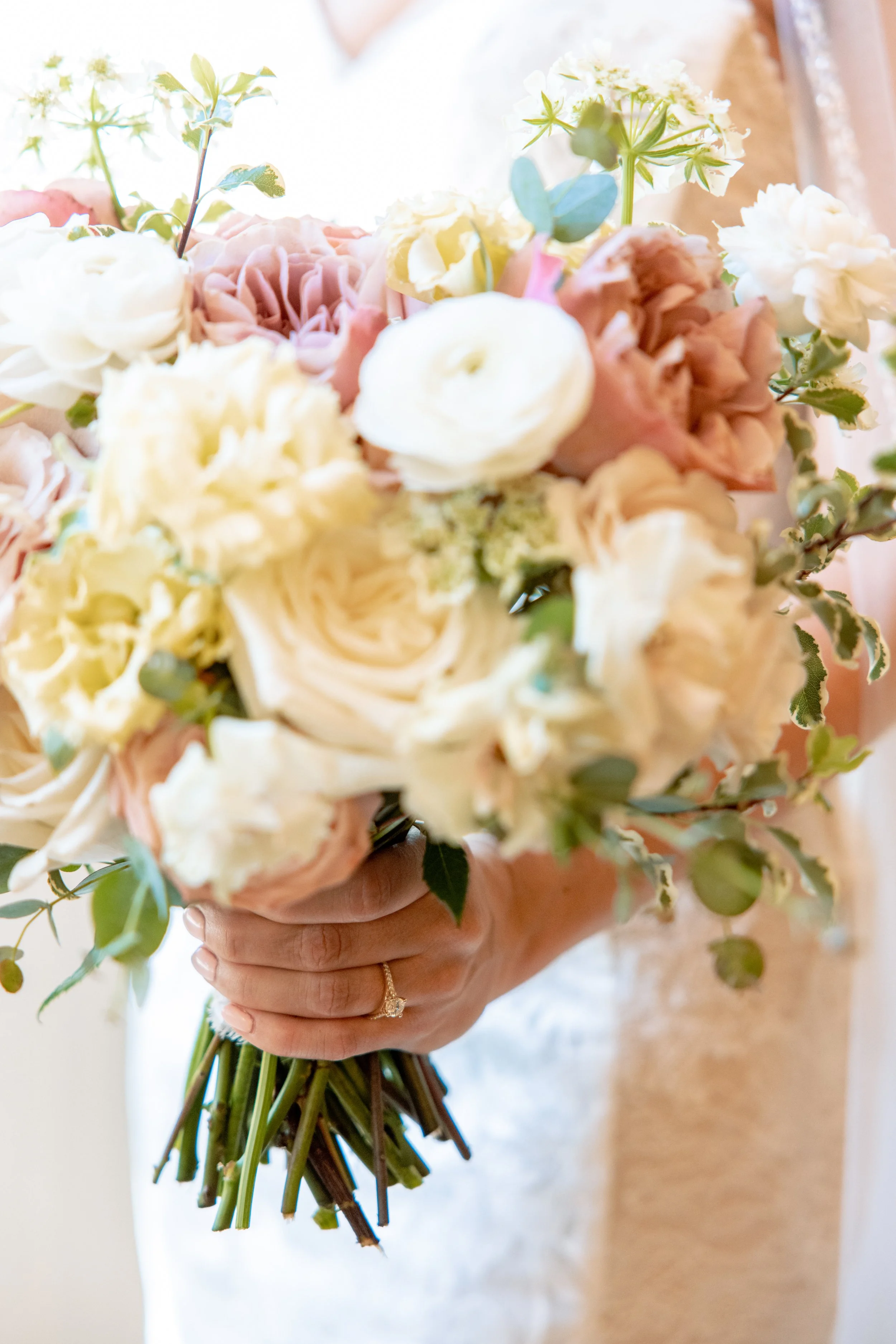 20240705_Meyer_Norton-0121 (1).jpg