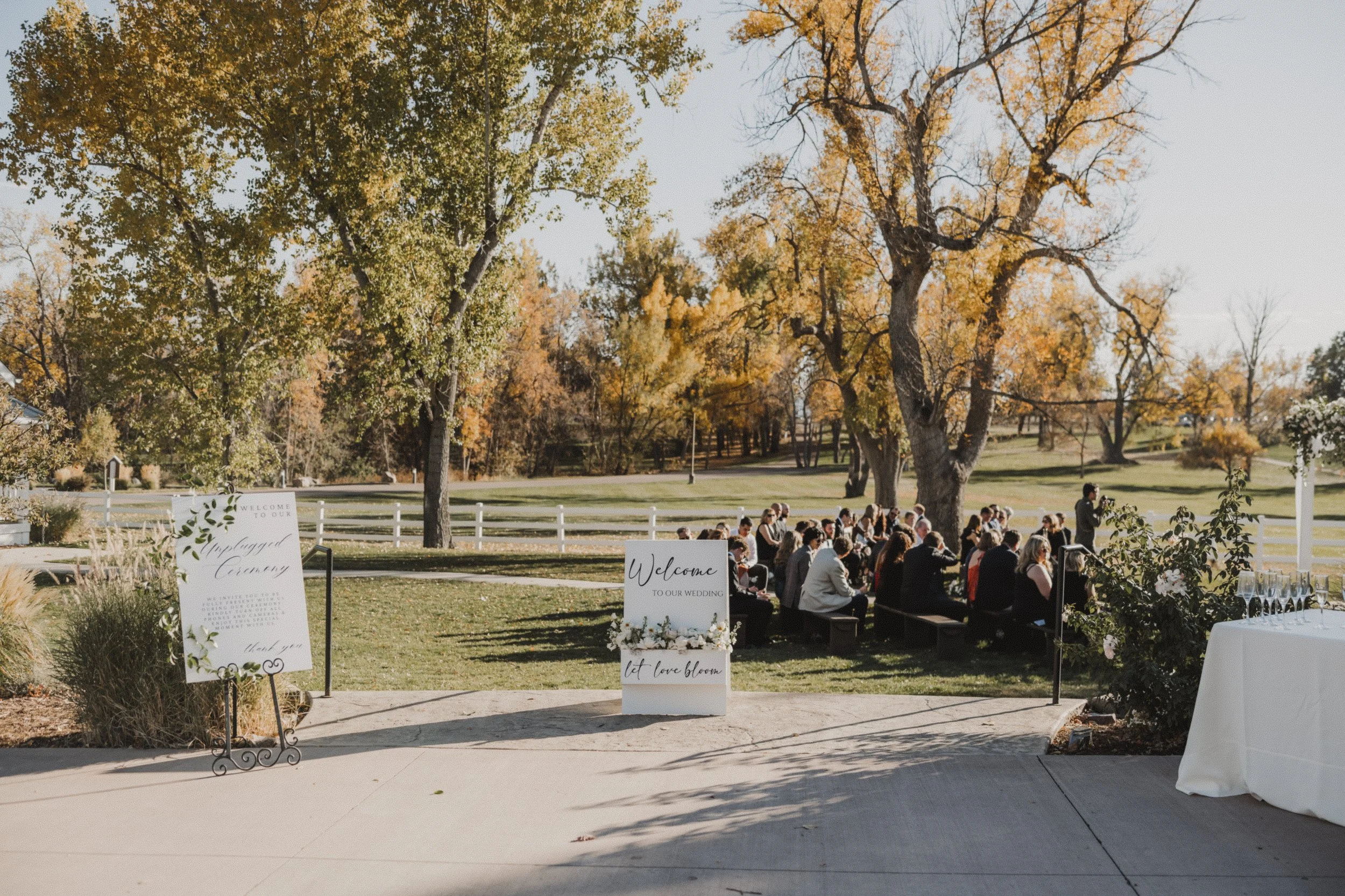 2024-10-26 - Carly & Sean Wedding-111.jpg