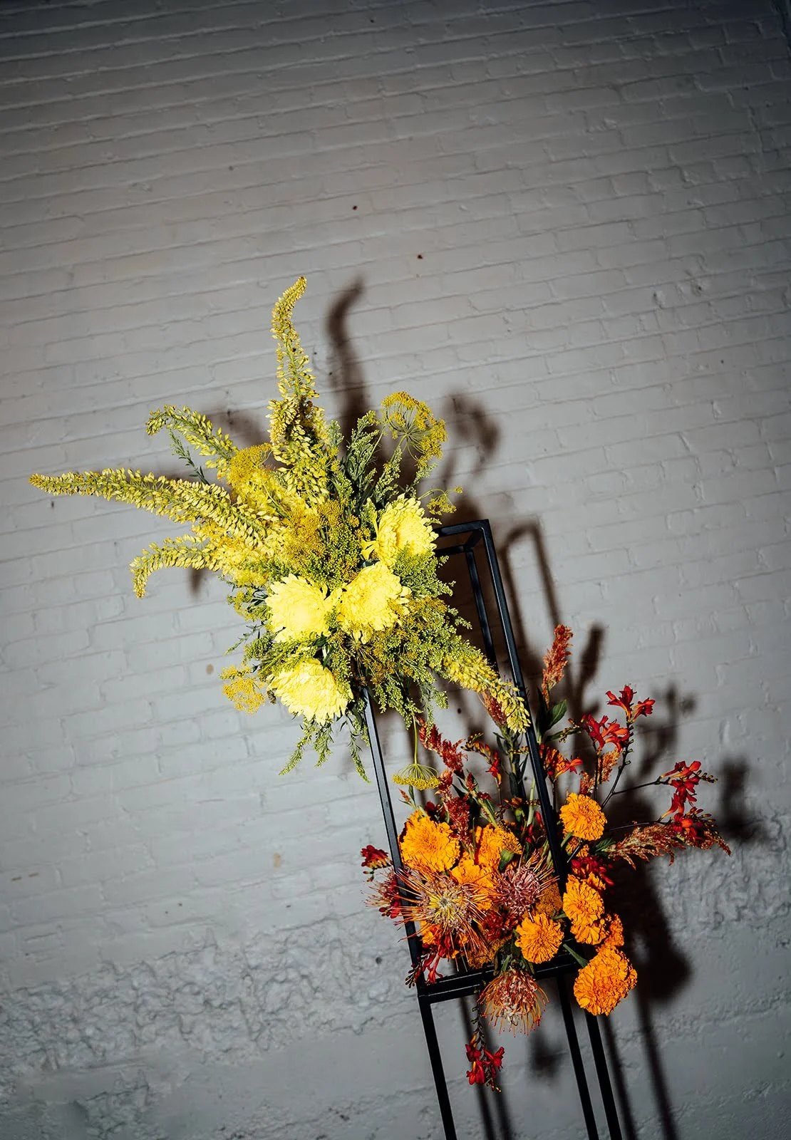 Alex & Cody -00551.jpg