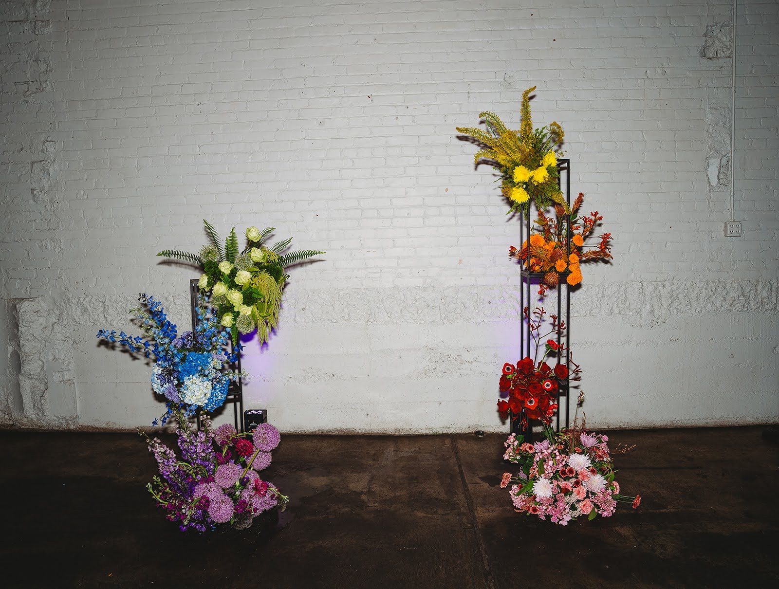 Alex & Cody -00722.jpg