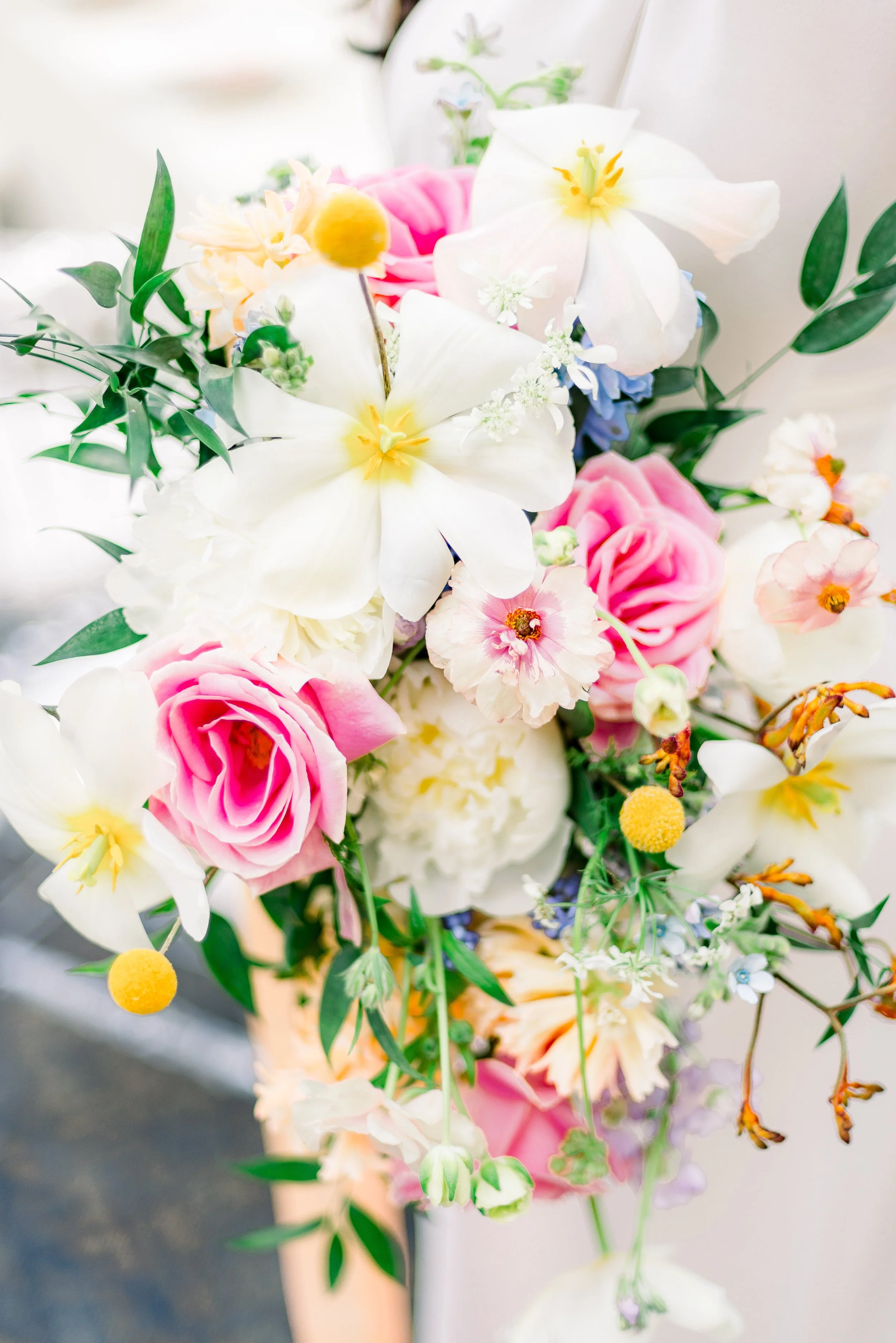 Winnipeg Wedding Photographer Aimee de la Lande Photography April 27, 2023-3.jpg