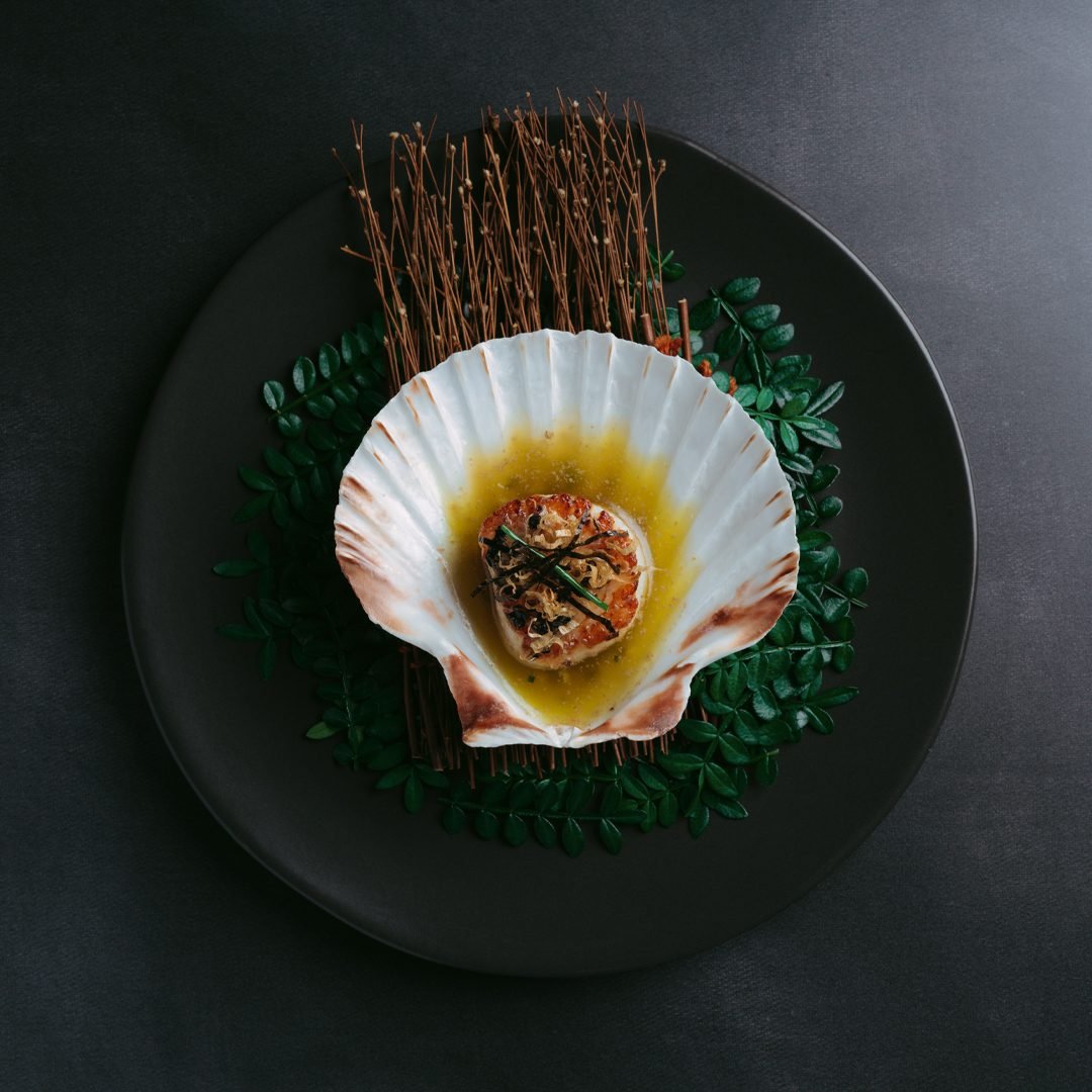 A gourmet dish served in a scallop shell with a round piece of seared seafood, garnished with herbs, sitting on a bed of green leaves and a black plate.