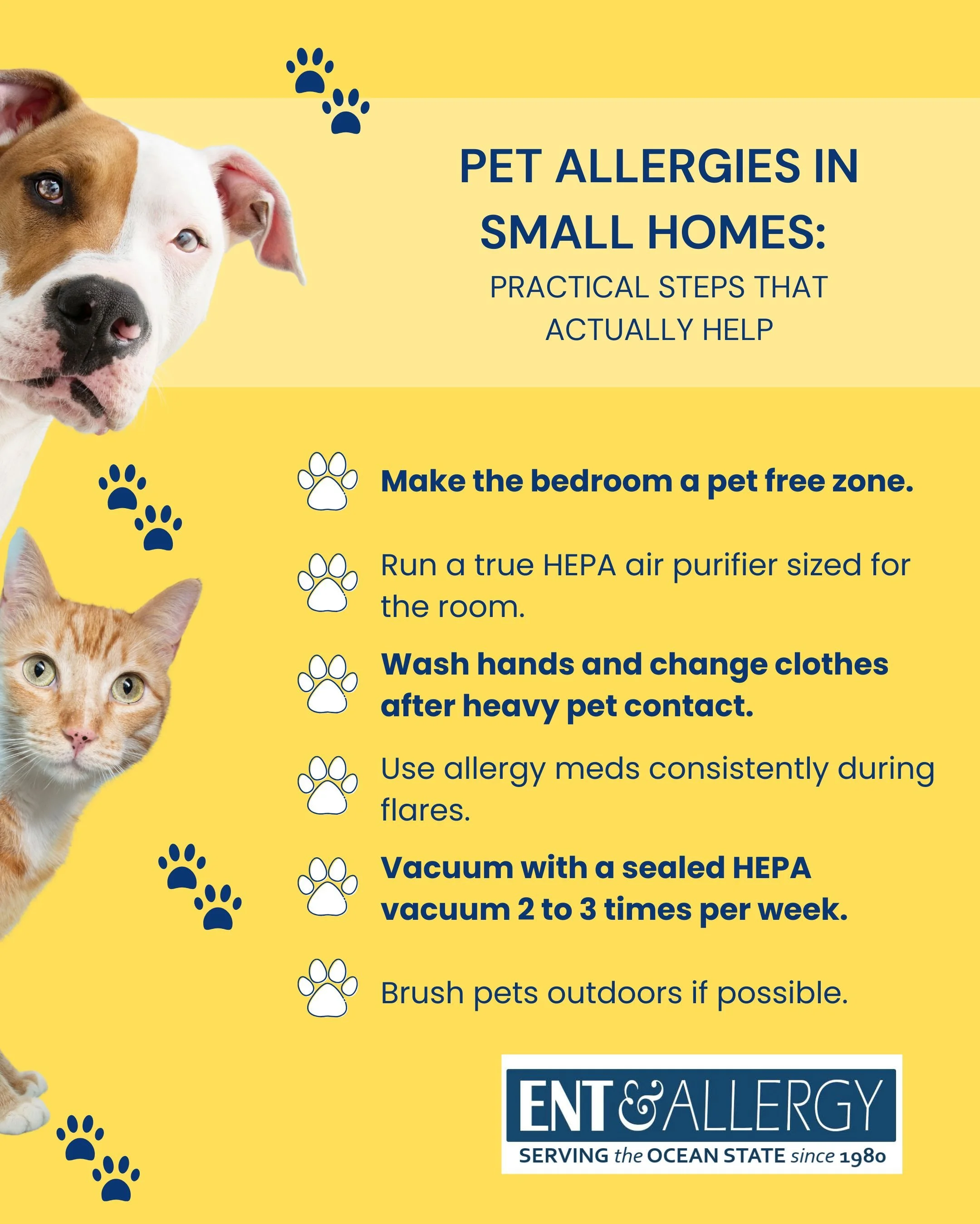 Pet Allergies in Small Homes: Practical Steps That Actually Help