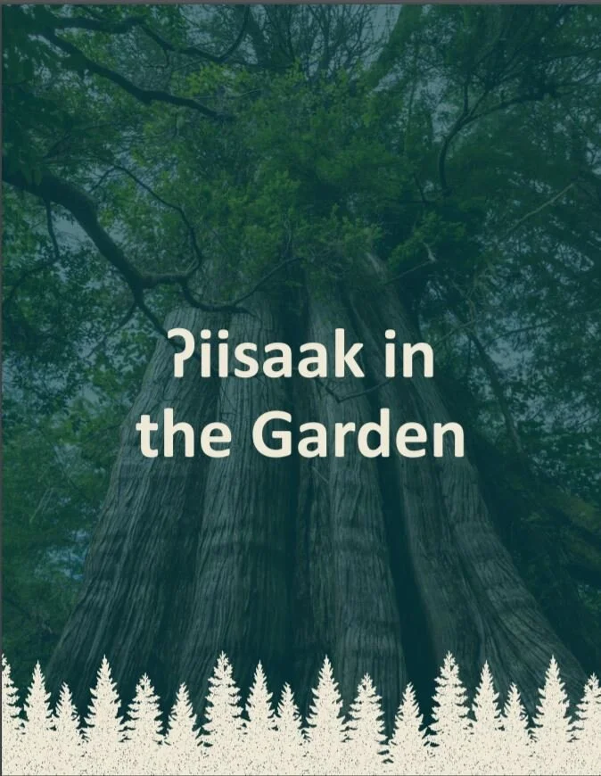 New book from Hotel Zed Tofino keeps the story and spirit of the Clayoquot Sound uprising alive