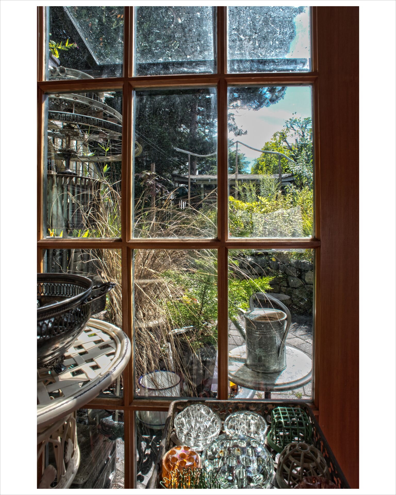 SD Holman’s Window , looking out on Geoff McMurchy’s beloved garden near the Drive.