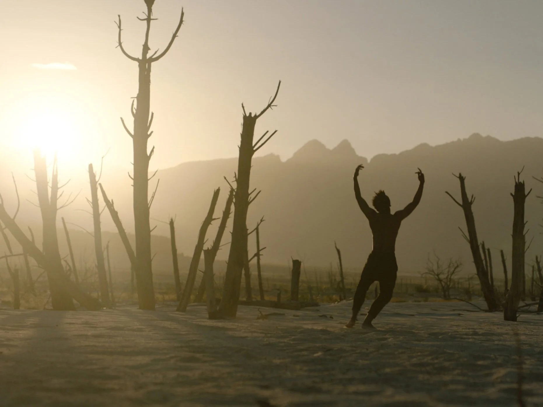 Film reviews: Beyond Moving's bittersweet ballet story and street kids in Durban, at South African Film Festival