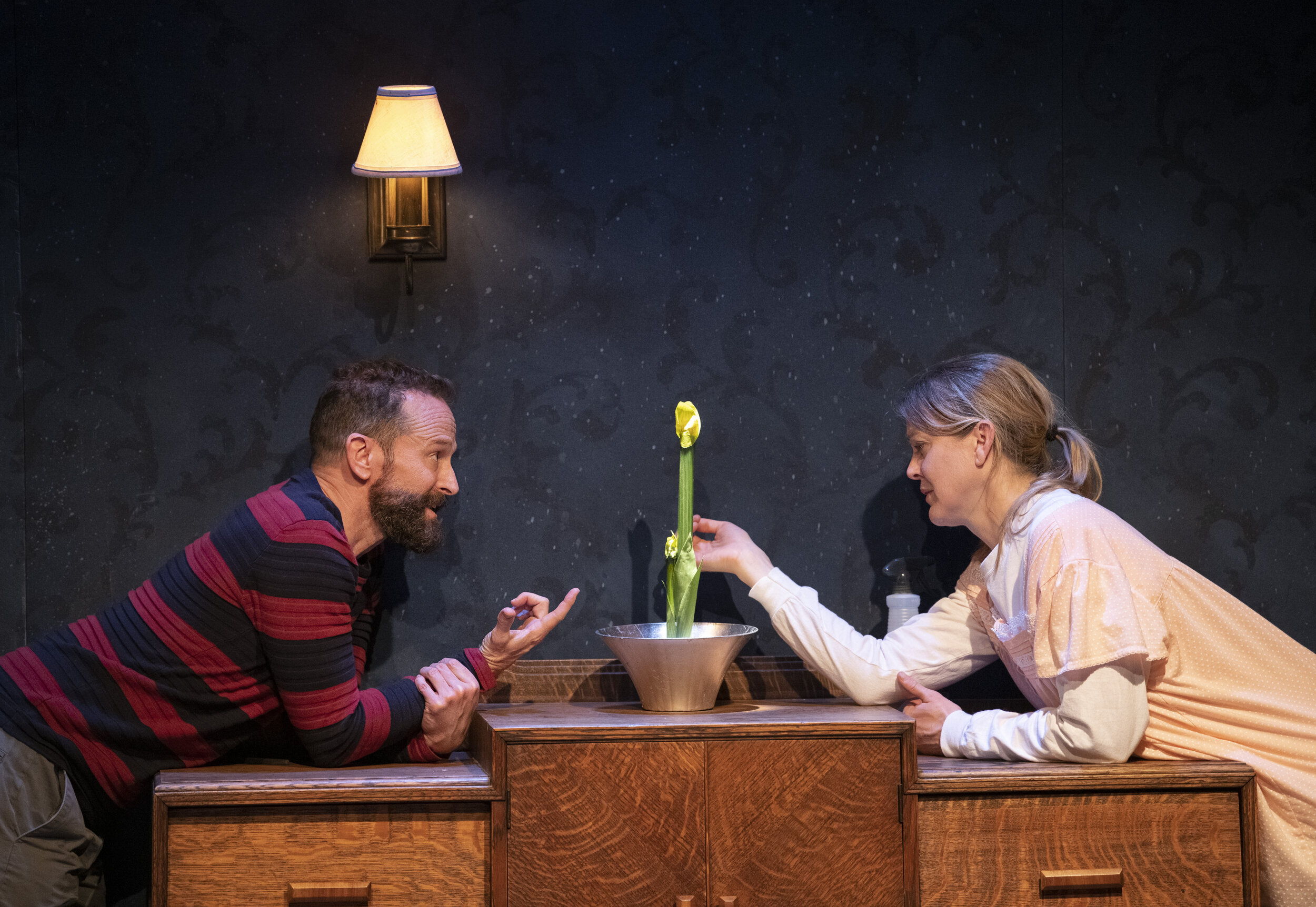 Theatre review: Strong performances reveal siblings in their own kind of lockdown, in The Amaryllis