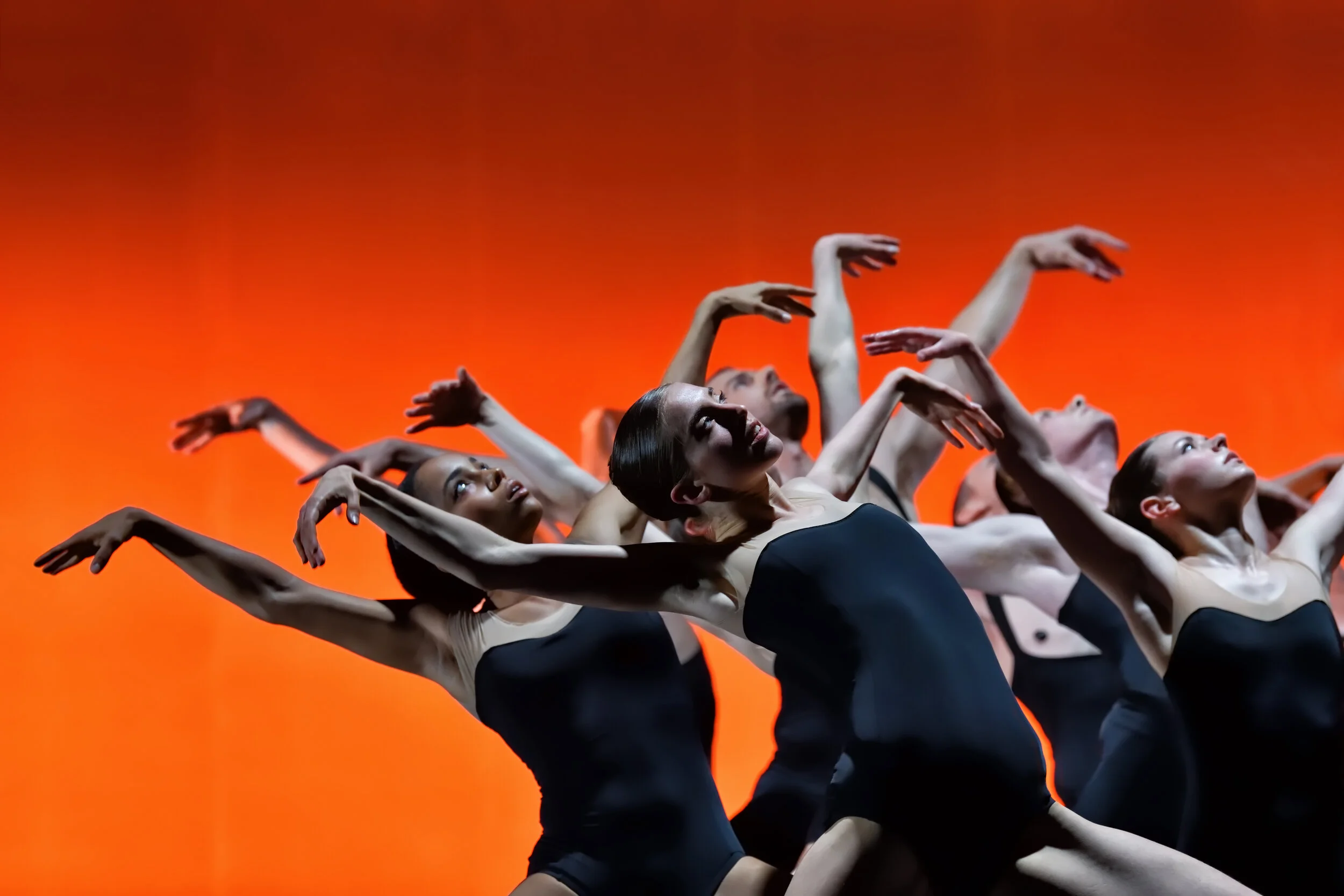 Ballet BC's REACHING U brings back Bedroom Folk with the new GARDEN