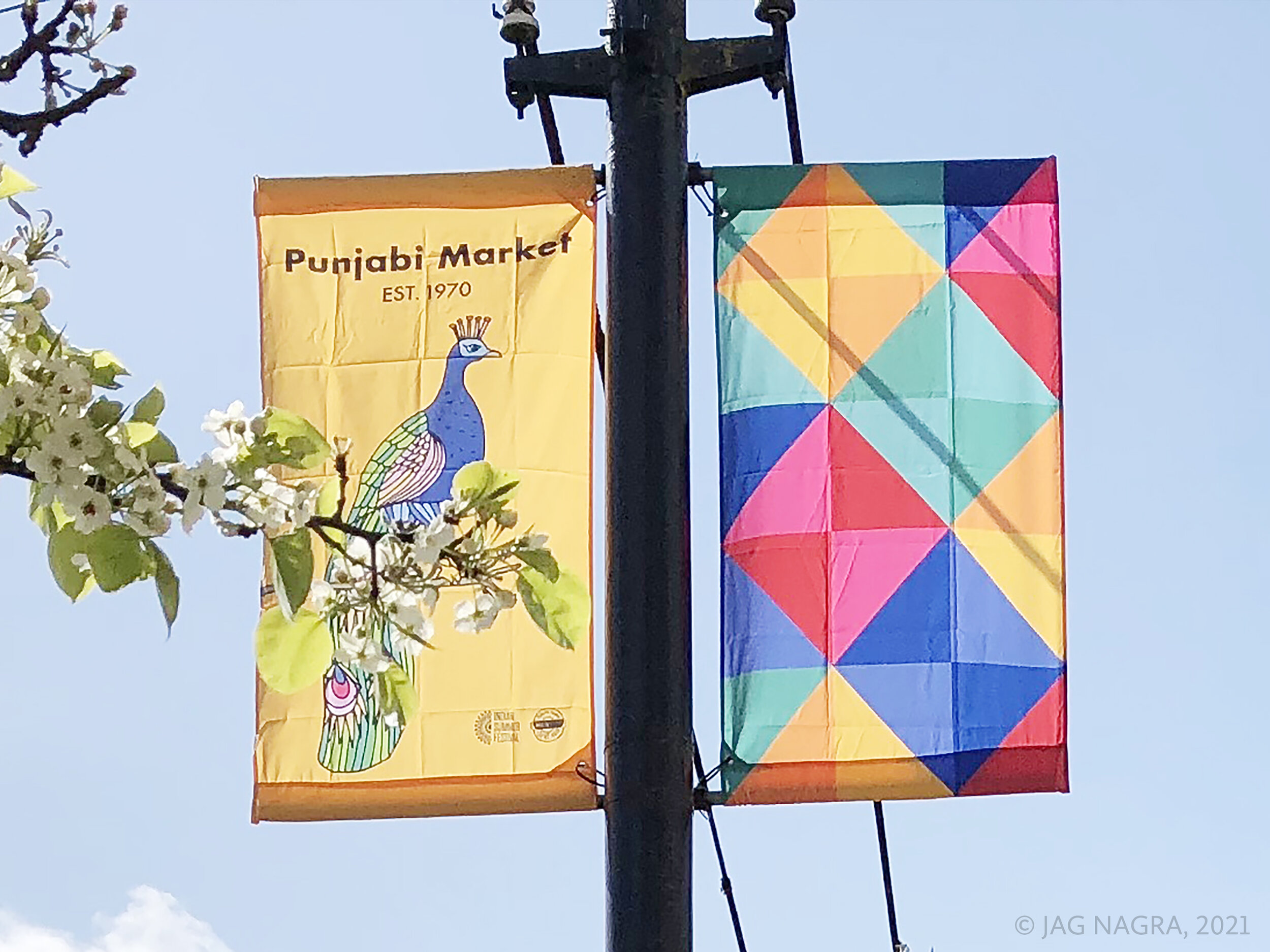 New street banners bridge Musqueam and Punjabi cultures in Indian Summer project
