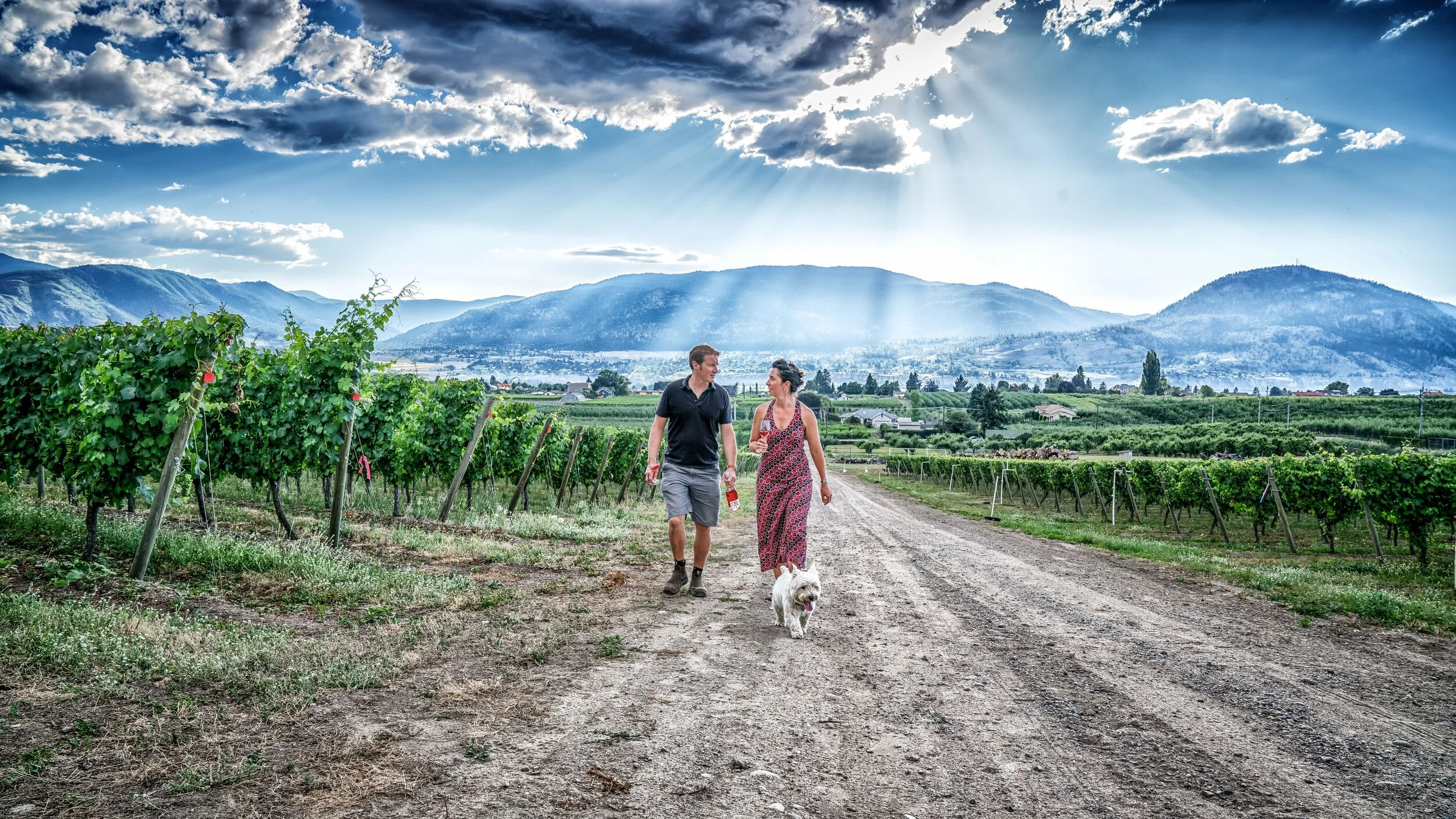 From Bordeaux to B.C.: Roche Wines is a family affair with French savoir faire