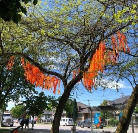 Public art in the form of marigolds, murals rejuvenates Vancouver’s Punjabi Market 